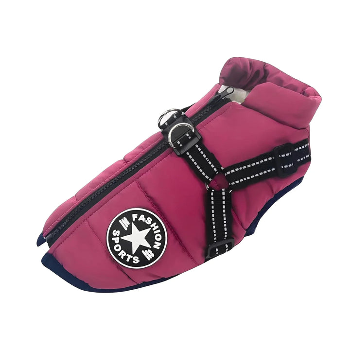 Padded & Lined Winter Dog Coat with Built-In Harness