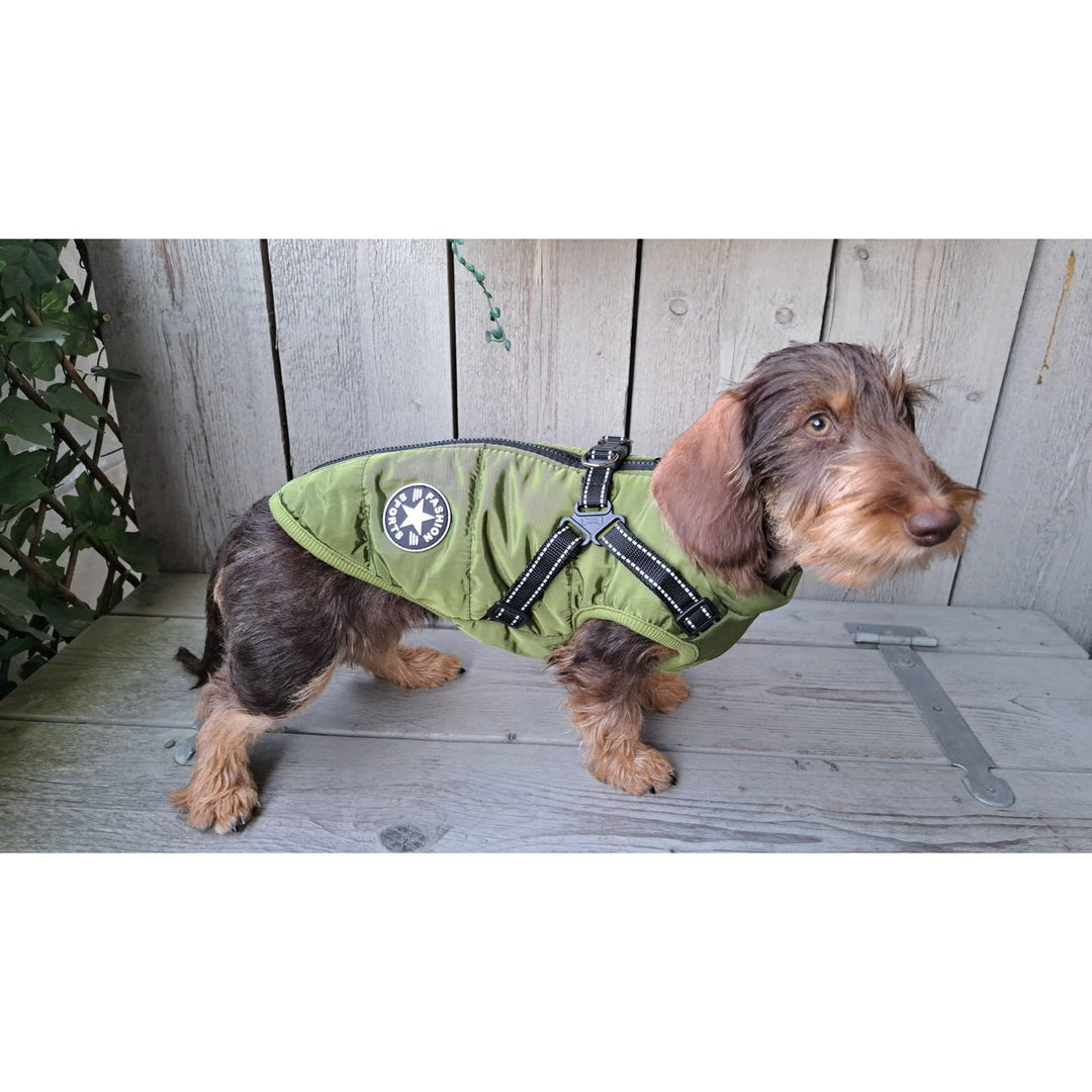 Padded & Lined Winter Dog Coat with Built-In Harness