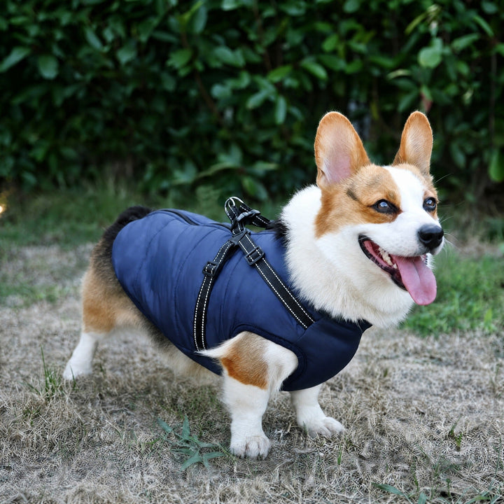Padded & Lined Winter Dog Coat with Built-In Harness