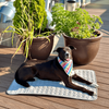 Self Cooling Pet Mat for Dogs and Cats