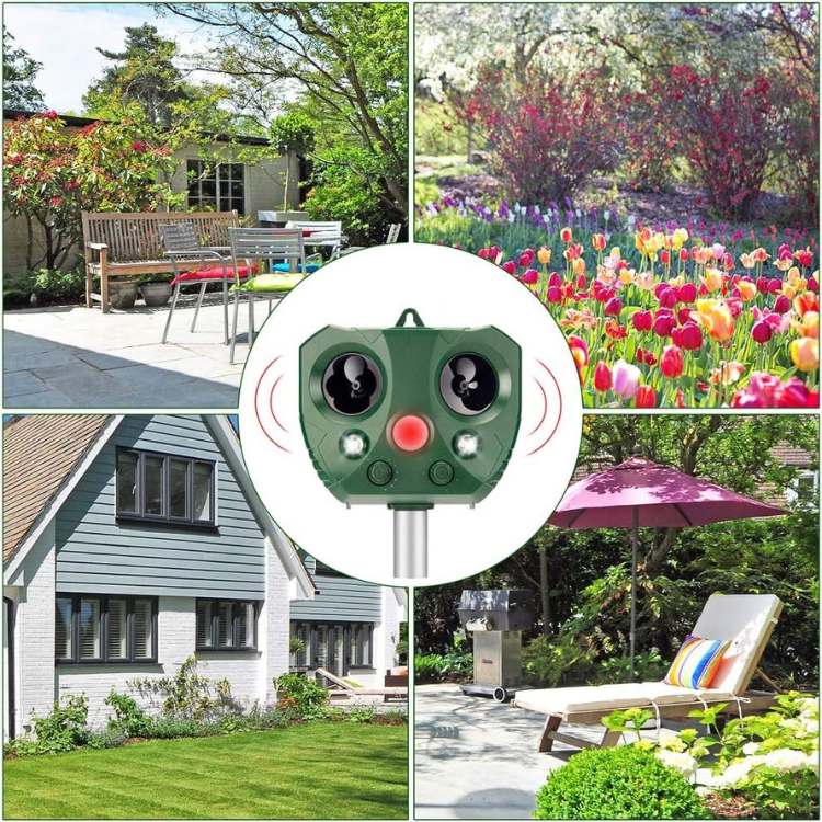 Ultrasonic Bird and Pest Deterrent