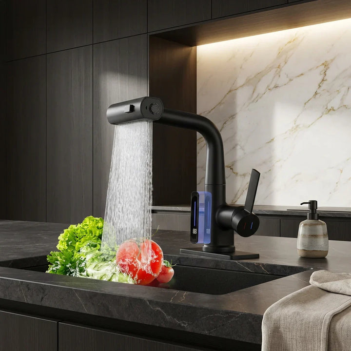 Pull-Out Kitchen Tap | Pull-Out Kitchen Tap with 5 Spray Modes | FlexiHahn